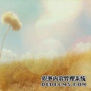 宝物在线英语学习和线下优下风比照，看往后不再纠